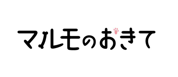 マルモのおきて 再放送予定【2022年最新版・無料動画もアリ！】